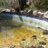 Before Pool Repair
