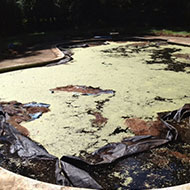 Before Pool Repair